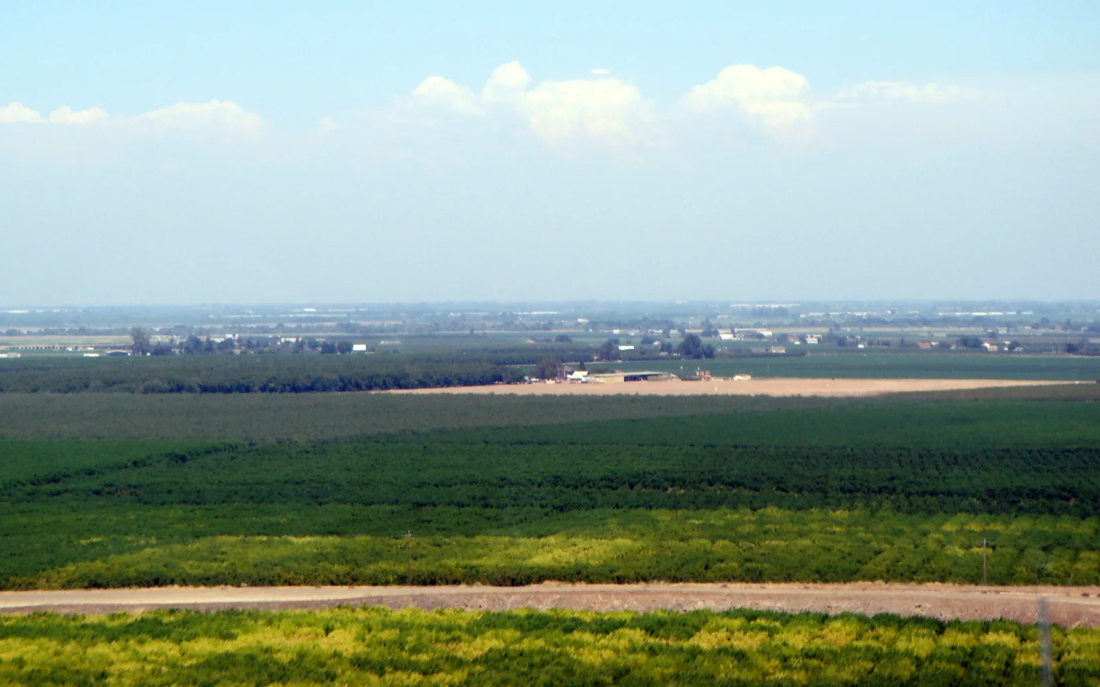 Agricultural fields in California’s Central Valley.